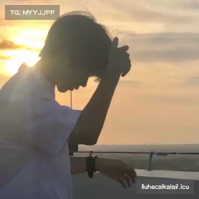 刁帆展